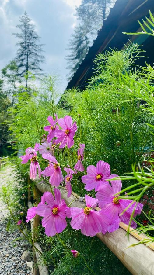 Himtrek Riverside Camps, Kasol Esterno foto