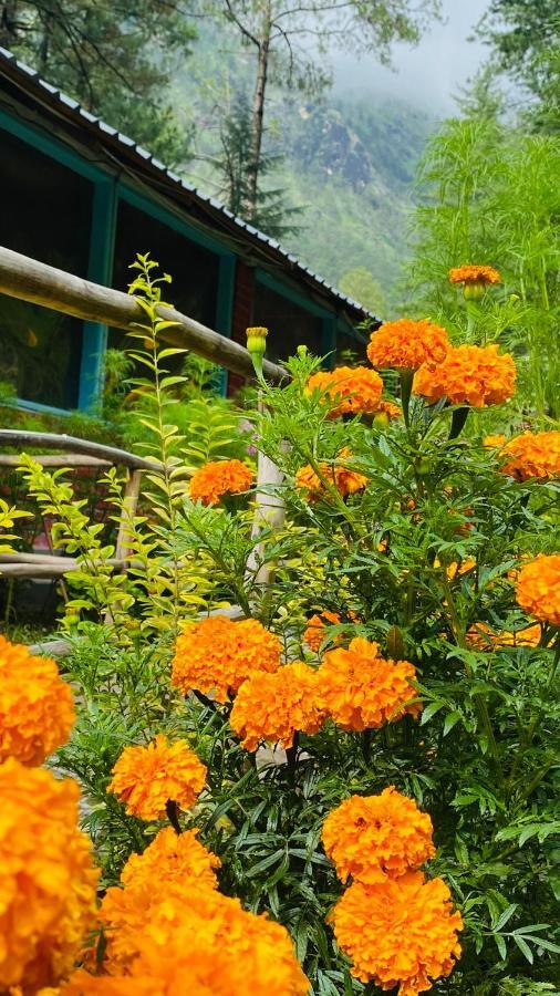 Himtrek Riverside Camps, Kasol Esterno foto