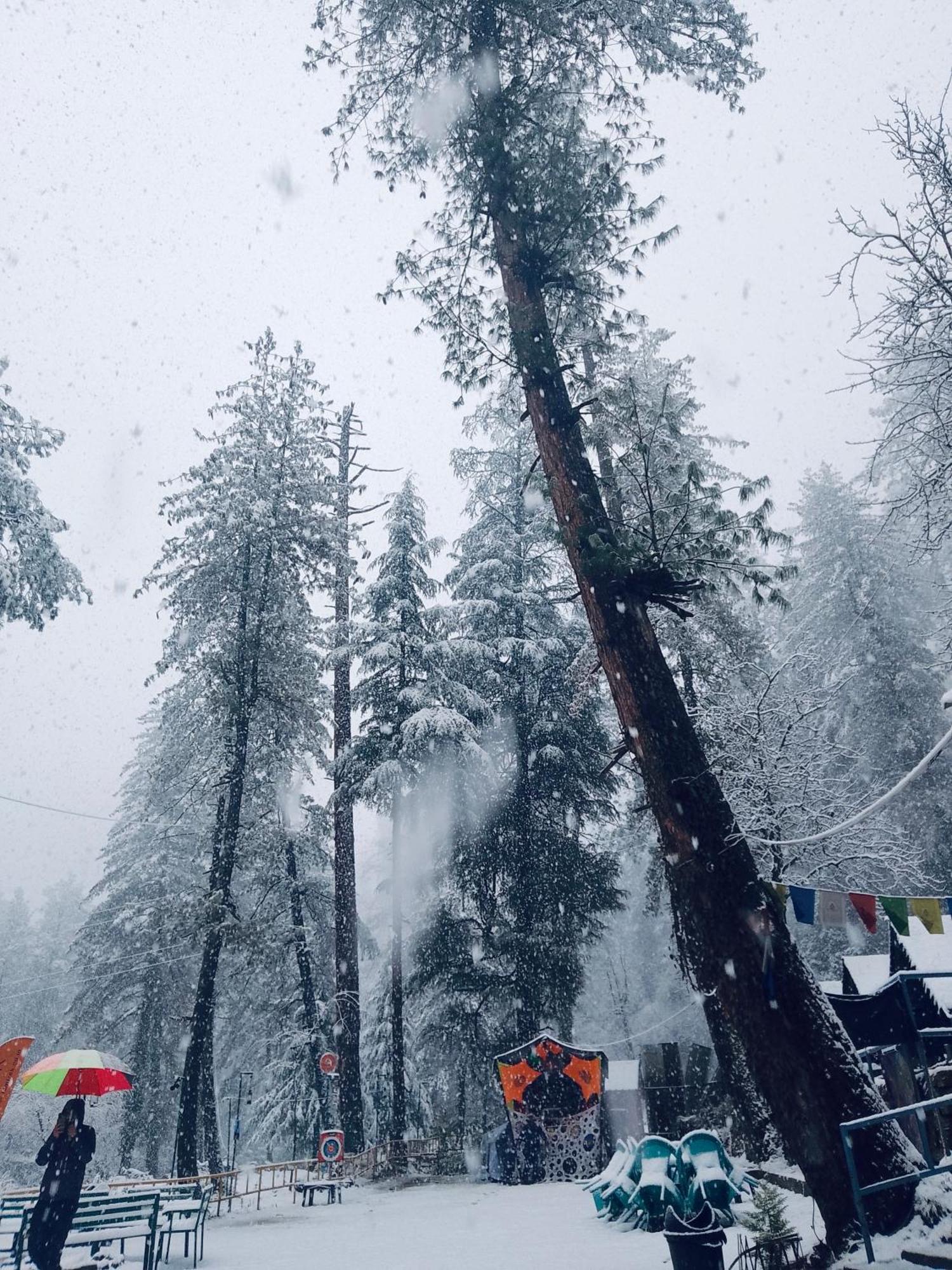Himtrek Riverside Camps, Kasol Esterno foto